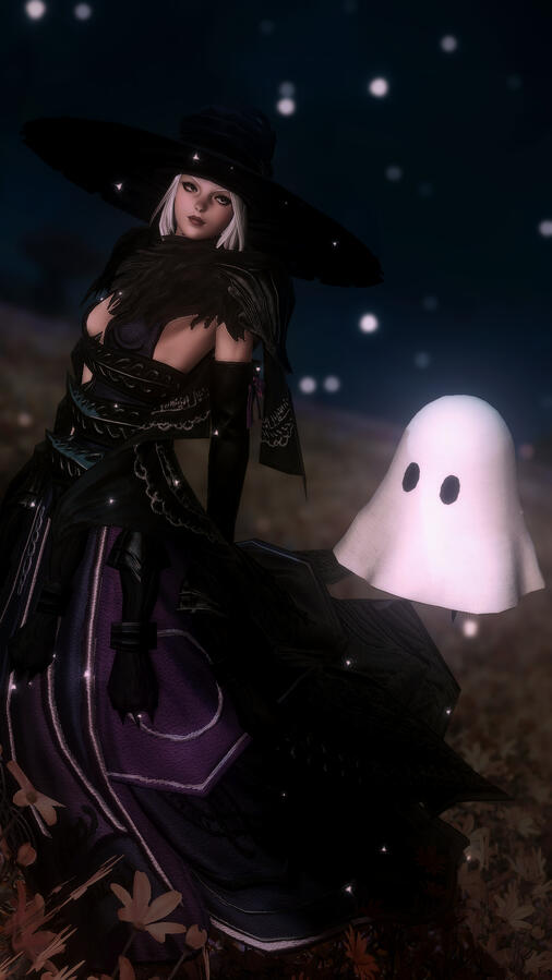 The witch and Franz The witch and Franz